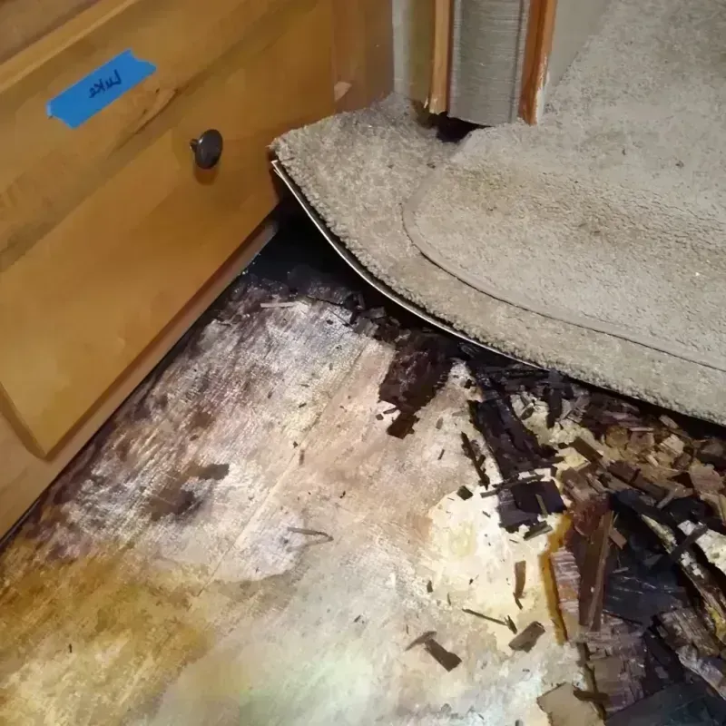 Wood Floor Water Damage in Milwaukee, WI